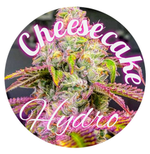 Charger l&#39;image dans la galerie, Cheesecake Premium 14,2% CBD - Les gones cbd Vienne
